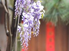 -龙华寺