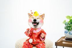-小熊维尼高端儿童摄影(宝安旗舰店)