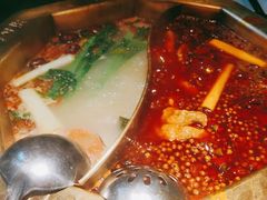 -蜀九香火锅(彩虹店)