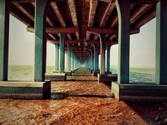 -宝安西湾红树林湿地公园