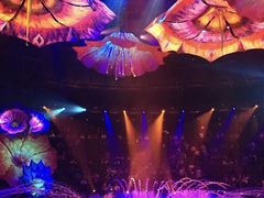 -拉斯维加斯永利酒店