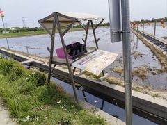 -嘉北郊野公园