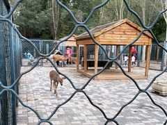 -长白岛森林公园