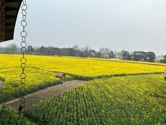 -中国天府农业博览园