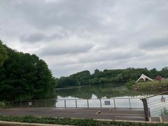 -梁鸿国家湿地公园