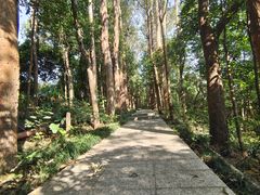 -小南山公园