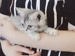-万小咖.猫咖(中山路天虹店)