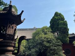 -洛阳白马寺