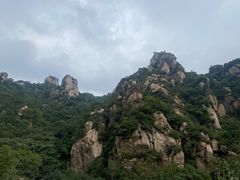 -大岭沟猕猴桃谷风景区
