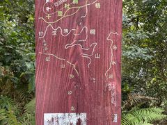 -梧桐山风景名胜区