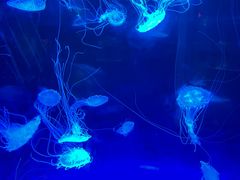 -常州海昌海洋探索馆