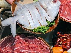 -阳阳老火锅(小南门店)