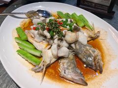 -猪肉婆私房菜(容桂总店)