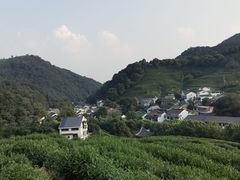 -龙井村