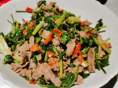 香菜炒牛肉-壹盏灯(蚂蚁工房店)