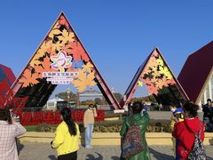 -五角枫生态旅游景区