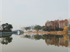 -月湖风景区