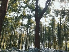 -苏州河梦清园环保主题公园