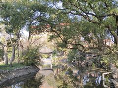-叶家花园