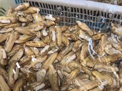 -和源祥·日照菜扛把子(万平口一店)