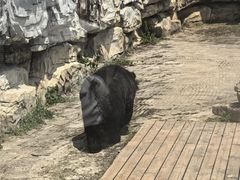 -南昌动物园