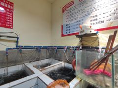 -老船夫石锅苗苗鱼·老字号(三道堰总店)