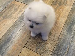 -刘长兴(三牌楼店)