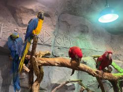 -Zoolung Zoolung动物主题公园(海信广场店)