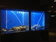 -四季火锅酒家(新濠影汇店)