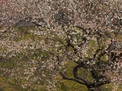 -苏州上方山国家森林公园