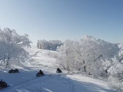 -塞罕坝国家级自然保护区