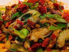 -柴窝堡22号辣子鸡·传承新疆菜