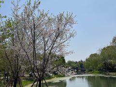 -堤角公园