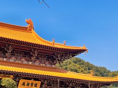 -上海东林寺(金山区)