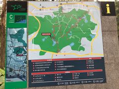 -火炉山森林公园