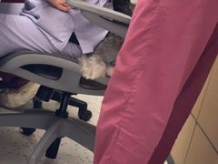 -瑞派康怡24h宠物医院·犬猫医疗中心·微创绝育(瑞景分院)