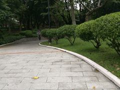 -屯门公园