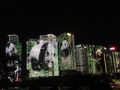 景点-钱江新城灯光秀