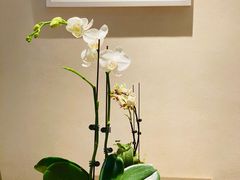 -BOCATA 西班牙餐厅(三里屯店)