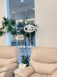 -美愈美肤MEIYU SKIN