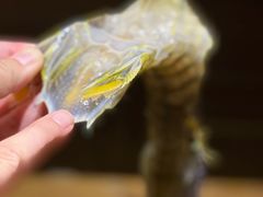 -辉记炭烧海鲜大排档·老字号(福田店)