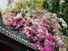 -深圳国际园林花卉博览园