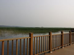 -白洋淀景区