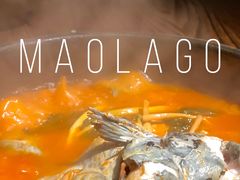 -毛辣果·酸(OHA复兴西路店)