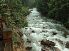 -九龙江国家森林公园