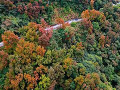 -广州市石门国家森林公园