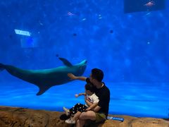 -华夏文旅海洋公园