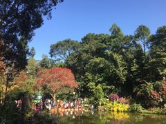 -深圳仙湖植物园