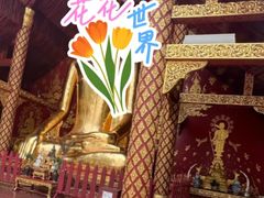 -西双版纳傣族园