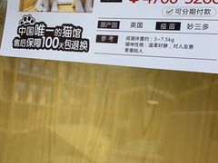 -屋虎猫馆(宝安大仟里店)